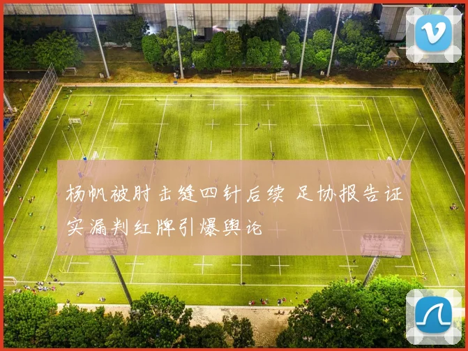 杨帆被肘击缝四针后续 足协报告证实漏判红牌引爆舆论