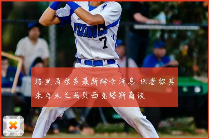 格里马尔多最新转会消息 记者称其未与米兰或贝西克塔斯商谈